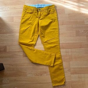 Tommy Hilfiger Mustard Chino Pants